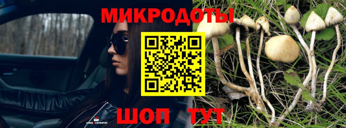 Гуково  Псилоцибиновые грибы мухоморы  Вход с VPN 